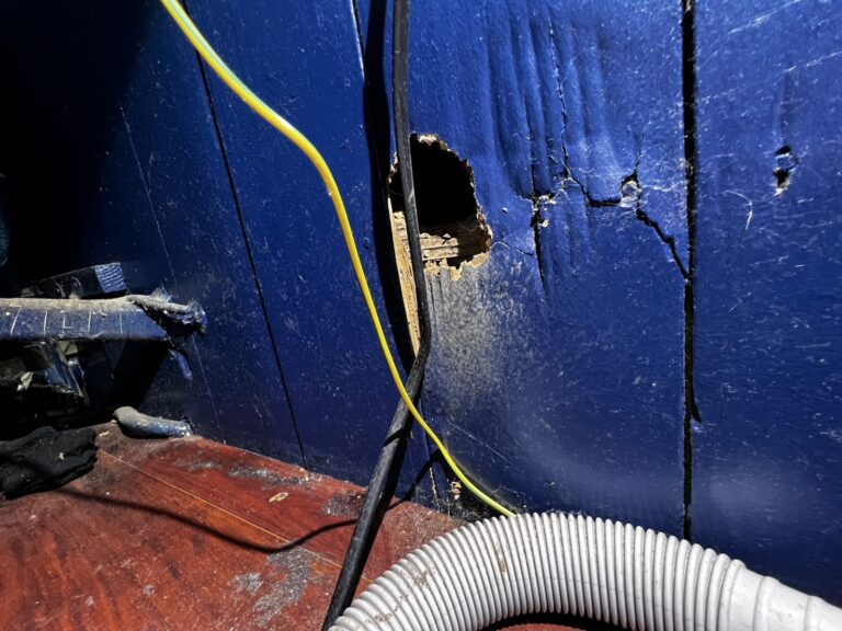 東京都板橋区ネズミ駆除