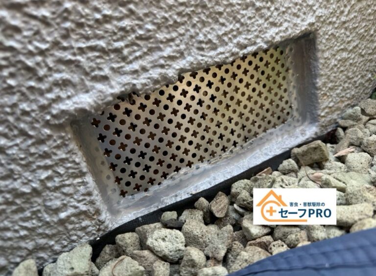 東京都練馬区　ネズミ駆除依頼