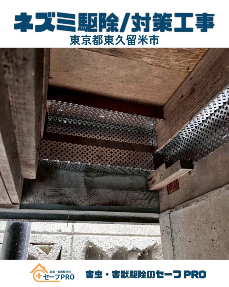 東京都東久留米市　ネズミ駆除依頼