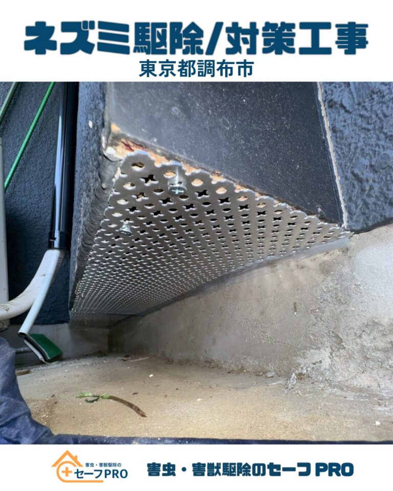 東京都調布市　ネズミ駆除依頼