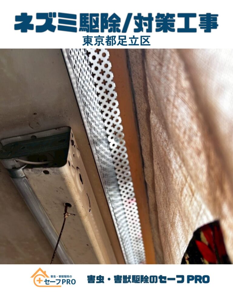 東京都足立区　ネズミ駆除依頼