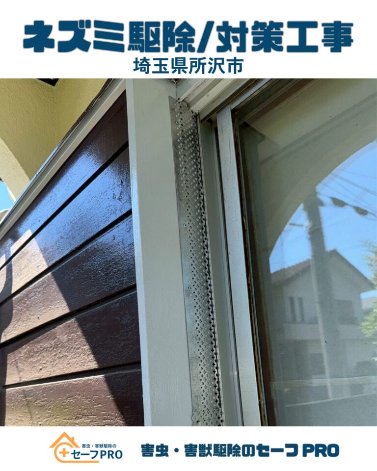 埼玉県所沢市　ネズミ駆除依頼